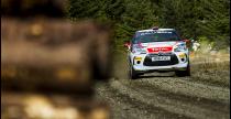 Pirelli Rally